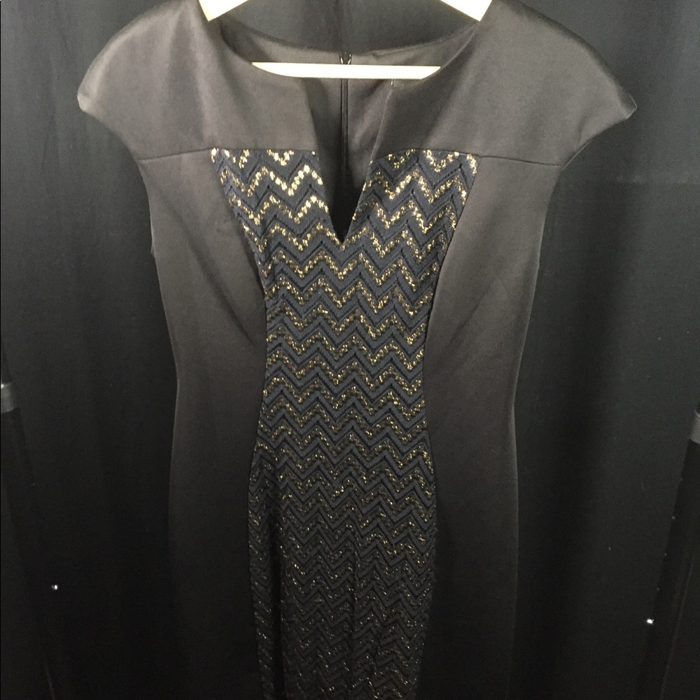 NWOT Form fitting dress